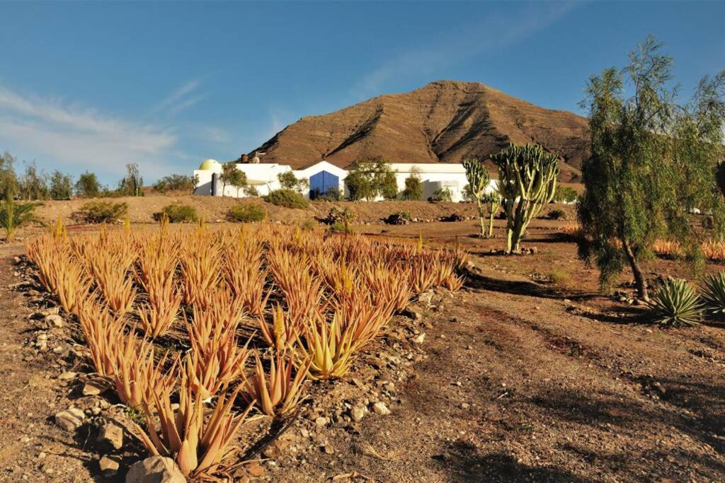 Casa Romántica Fuego - Eco Retreat Finca Artis Tirma Tarajalejo Exterior foto